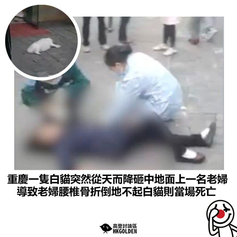 【重慶一隻白貓突然從天而降砸中地面上一名老婦 導致老婦腰椎骨折倒地不起白貓則當場死亡】