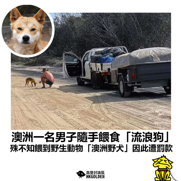 fdgsdgds