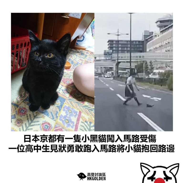 【日本京都有一隻小黑貓闖入馬路受傷 一位高中生見狀勇敢跑入馬路將小貓抱回路邊】
