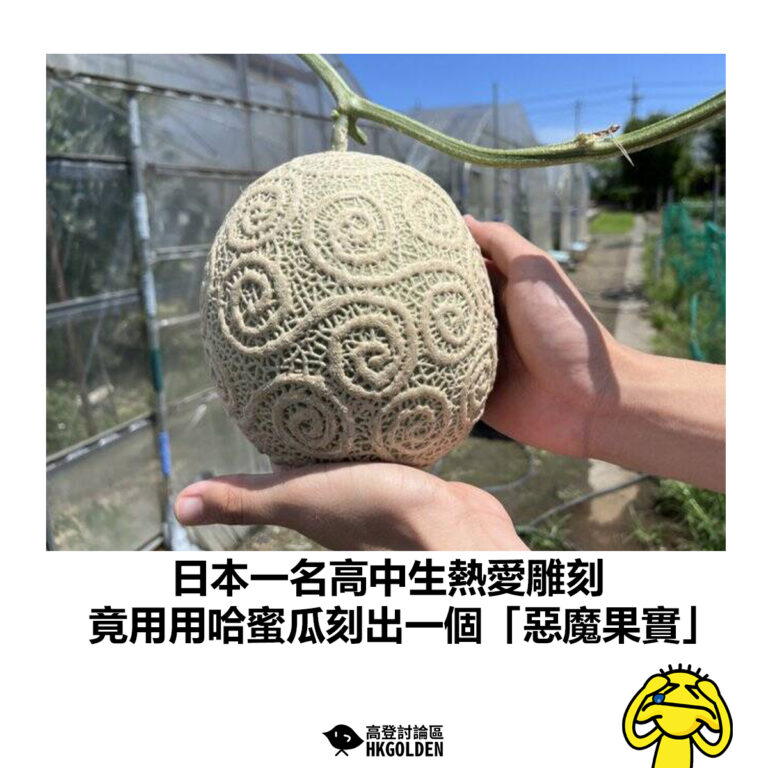 【日本一名高中生熱愛雕刻 竟用用哈蜜瓜刻出一個「惡魔果實」】