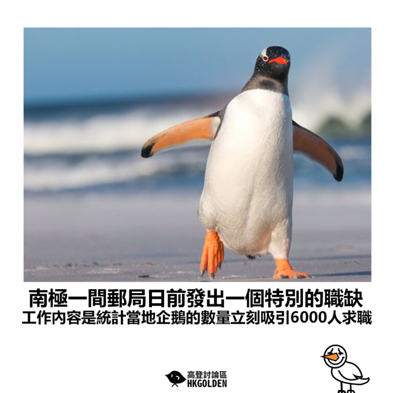 【南極一間郵局日前發出一個特別的職缺 工作內容是統計當地企鵝的數量立刻吸引6000人求職】