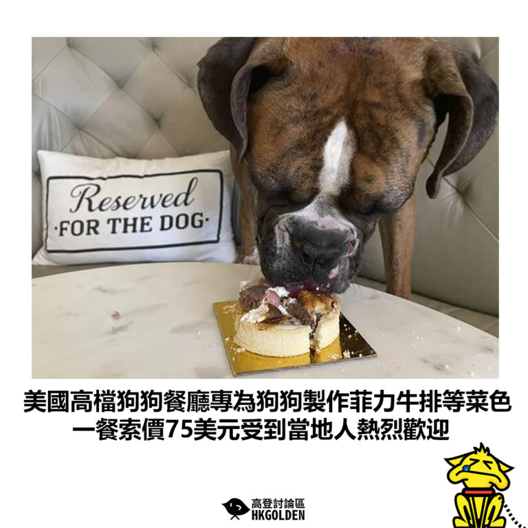 【美國高檔狗狗餐廳專為狗狗製作菲力牛排等菜色 一餐索價75美元受到當地人熱烈歡迎】