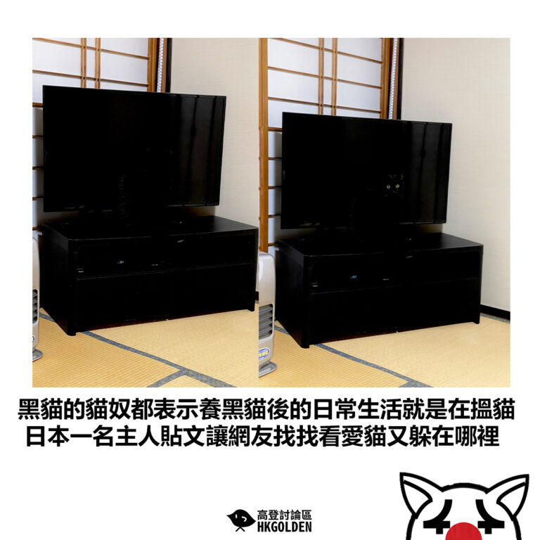 【黑貓的貓奴都表示養黑貓後的日常生活就是在搵貓 日本一名主人貼文讓網友找找看愛貓又躲在哪裡】