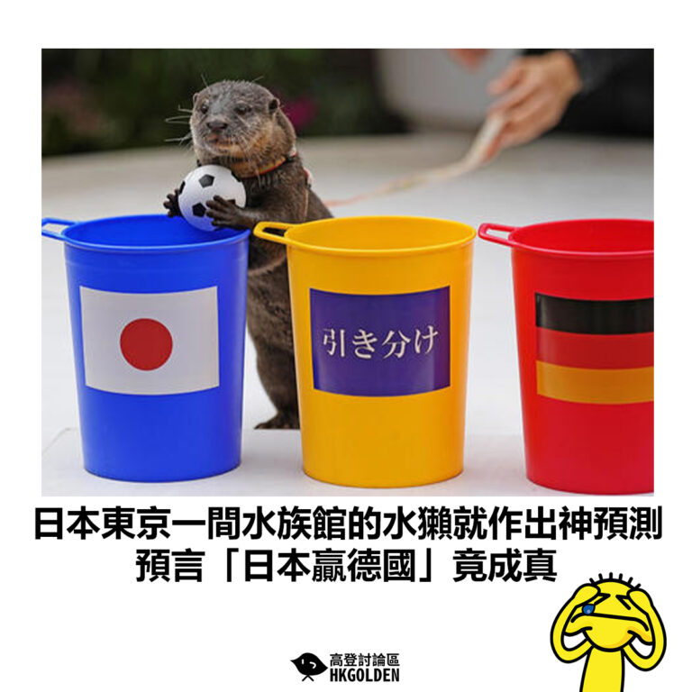 【日本東京一間水族館的水獺就作出神預測 預言「日本贏德國」竟成真】