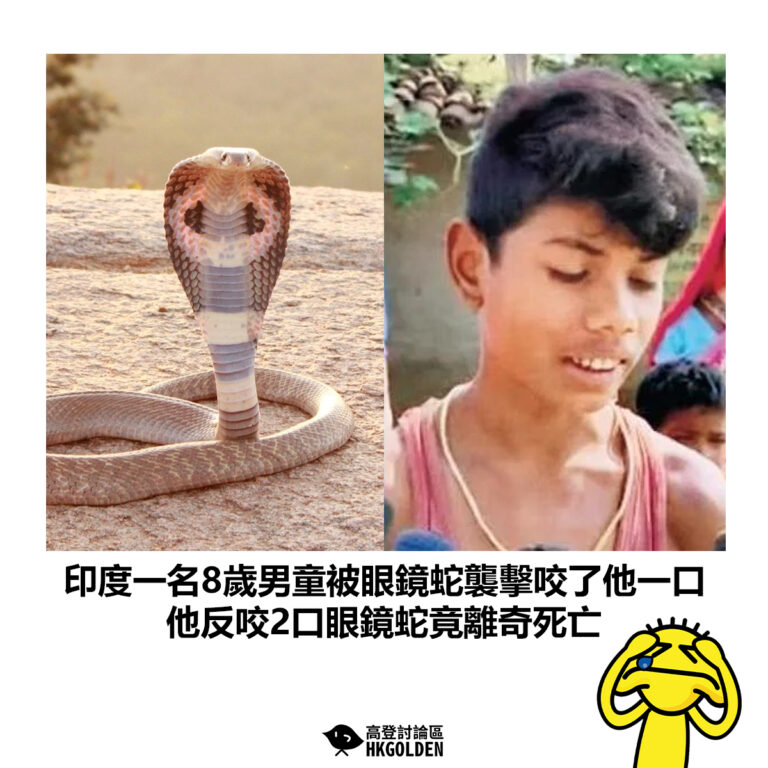 【印度一名8歲男童被眼鏡蛇襲擊咬了他一口 他反咬2口眼鏡蛇竟離奇死亡】