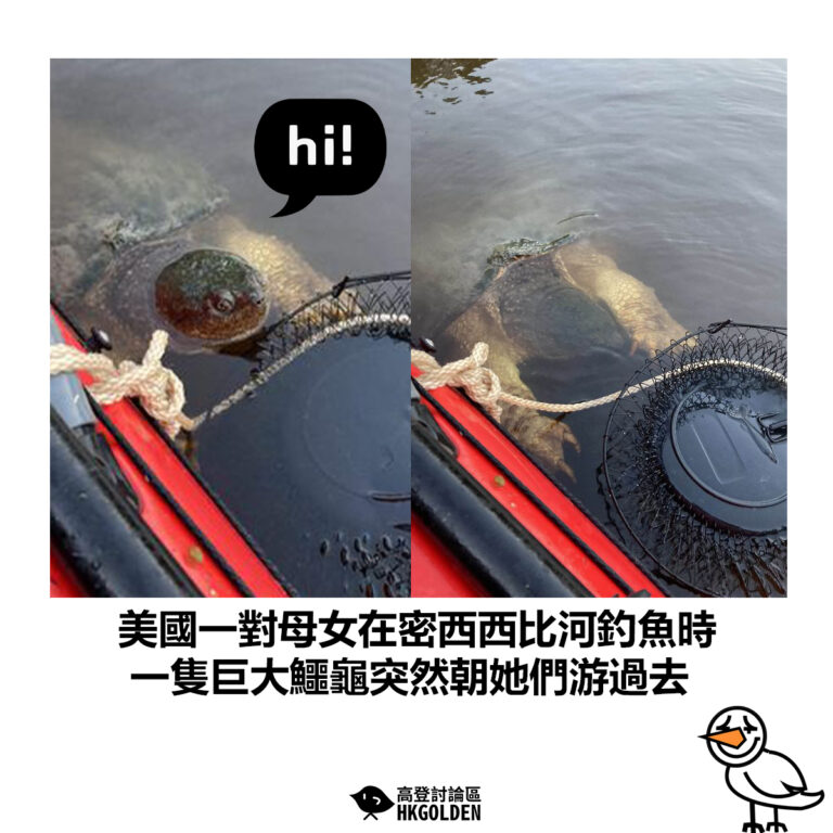 【美國一對母女在密西西比河釣魚時 一隻巨大鱷龜突然朝她們游過去】