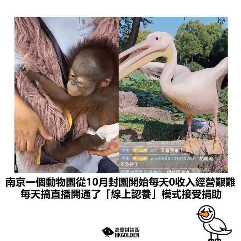 【南京一個動物園從10月封園開始每天0收入經營艱難 每天搞直播開通了「線上認養」模式接受捐助 】
