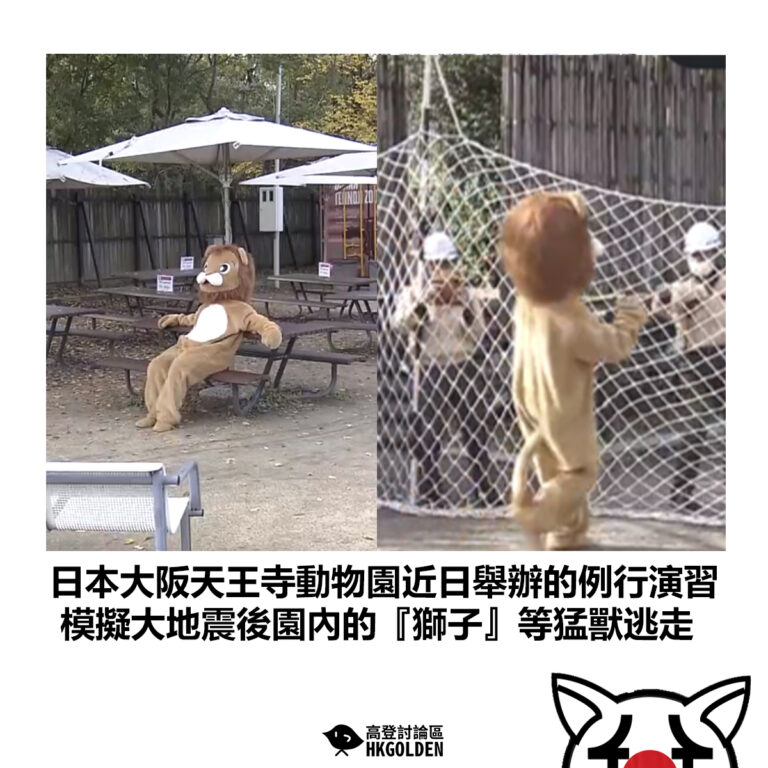 【日本大阪天王寺動物園近日舉辦的例行演習 模擬大地震後園內的『獅子』等猛獸逃走】