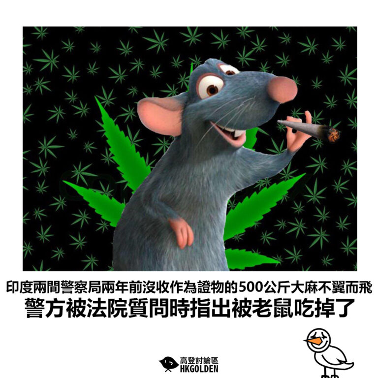 【印度兩間警察局兩年前沒收作為證物的500公斤大麻不翼而飛 警方被法院質問時指出被老鼠吃掉了】