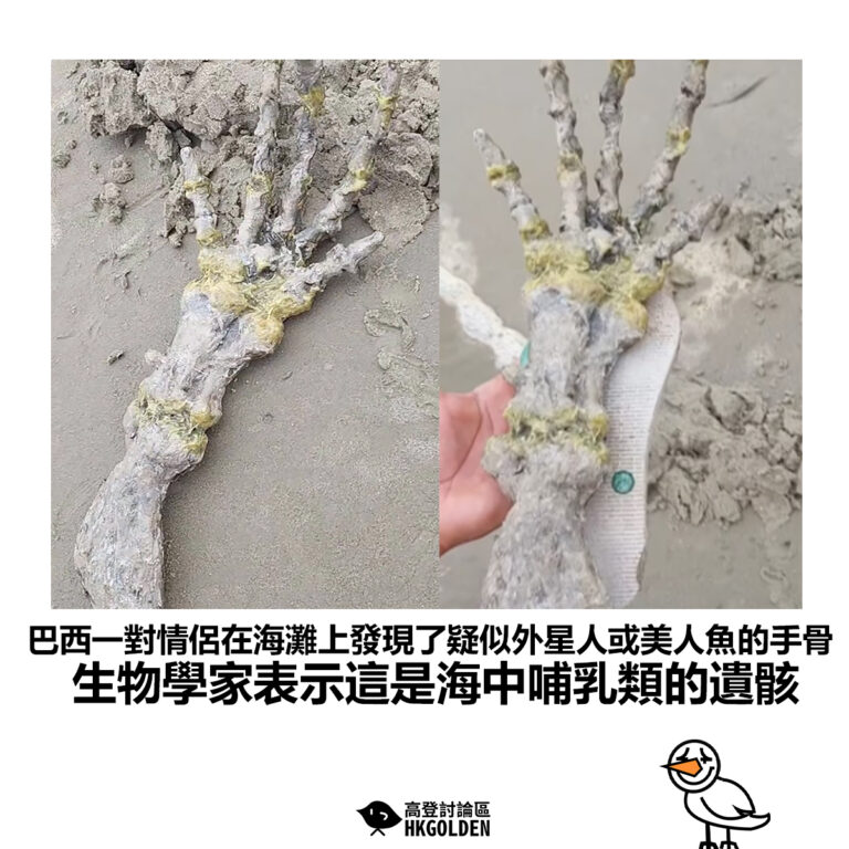 【巴西一對情侶在海灘上發現了疑似外星人或美人魚的手骨 生物學家表示這是海中哺乳類的遺骸】
