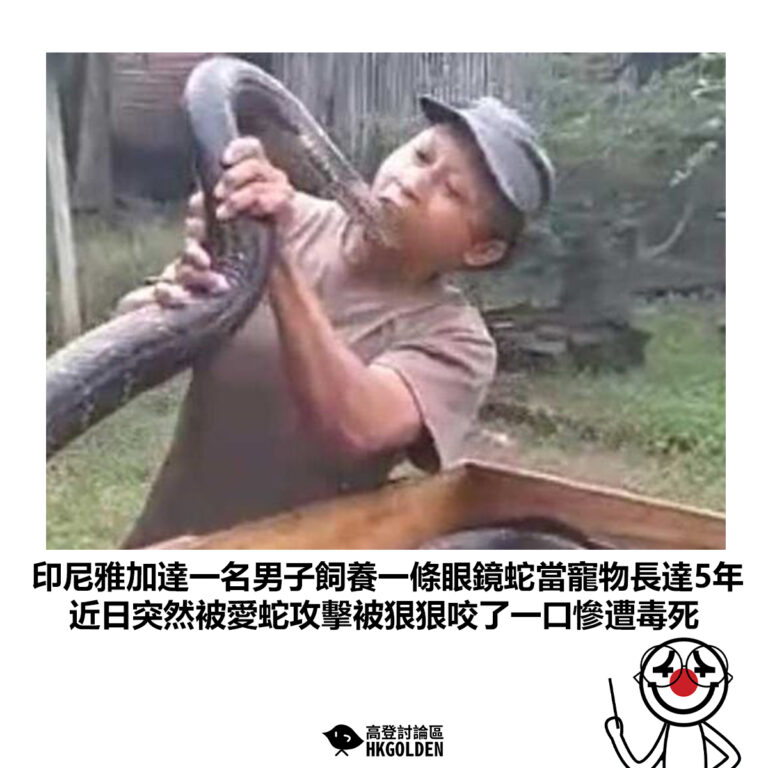 【印尼雅加達一名男子飼養一條眼鏡蛇當寵物長達5年 近日突然被愛蛇攻擊被狠狠咬了一口慘遭毒死】