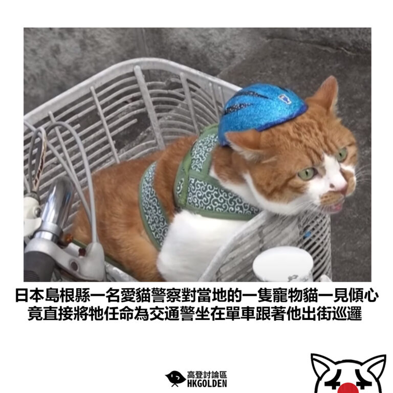 【日本島根縣一名愛貓警察對當地的一隻寵物貓一見傾心 竟直接將牠任命為交通警坐在單車跟著他出街巡邏】