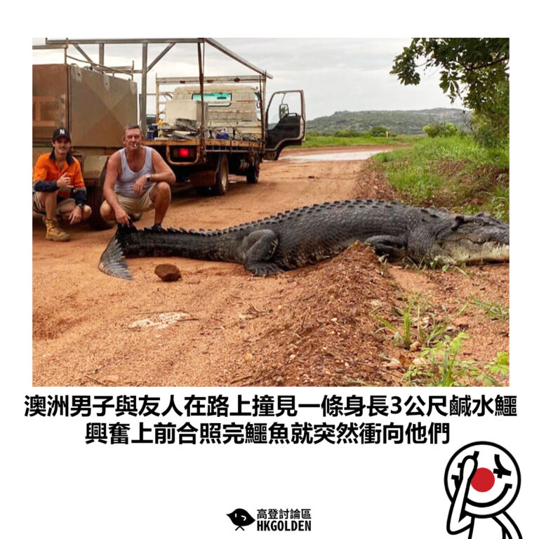 【澳洲男子與友人在路上撞見一條身長3公尺鹹水鱷 興奮上前合照完鱷魚就突然衝向他們】