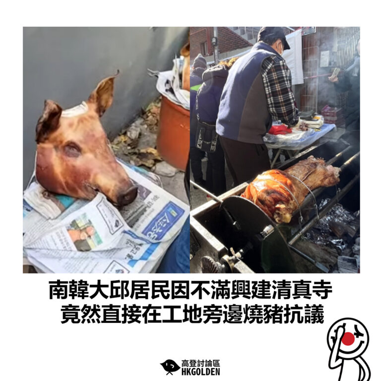 【南韓大邱居民因不滿興建清真寺  竟然直接在工地旁邊燒豬抗議】