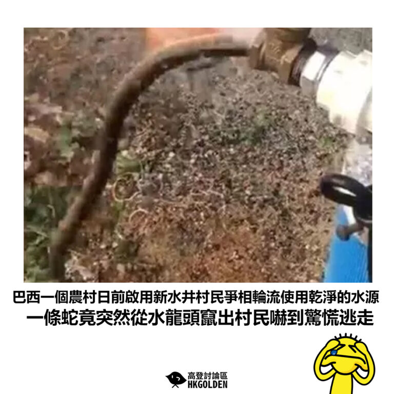 【巴西一個農村日前啟用新水井村民爭相輪流使用乾淨的水源 一條蛇竟突然從水龍頭竄出村民嚇到驚慌逃走】