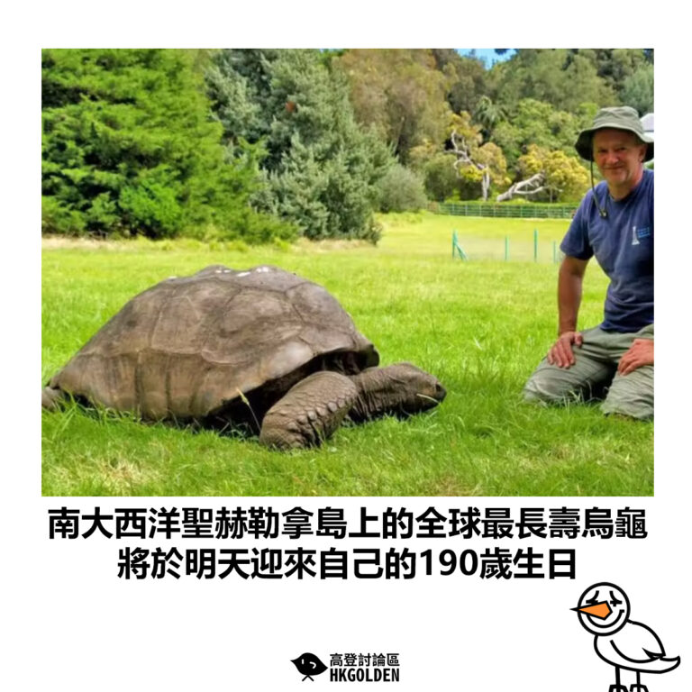 【南大西洋聖赫勒拿島上的全球最長壽烏龜 將於明天迎來自己的190歲生日】