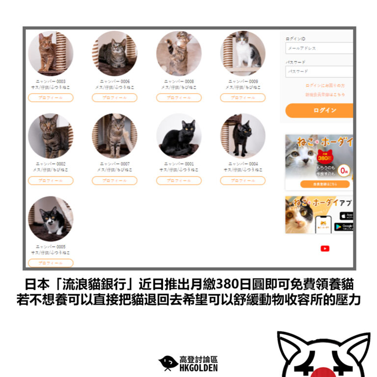 【日本「流浪貓銀行」近日推出月繳380日圓即可免費領養貓 若不想養可以直接把貓退回去希望可以舒緩動物收容所的壓力】