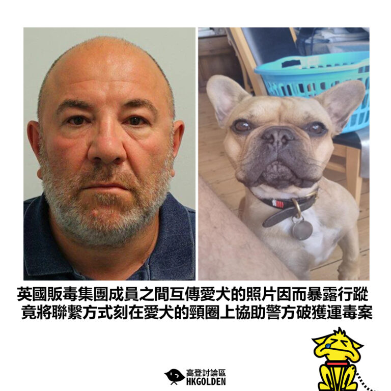 【英國販毒集團成員之間互傳愛犬的照片因而暴露行蹤 竟將聯繫方式刻在愛犬的頸圈上協助警方破獲運毒案】