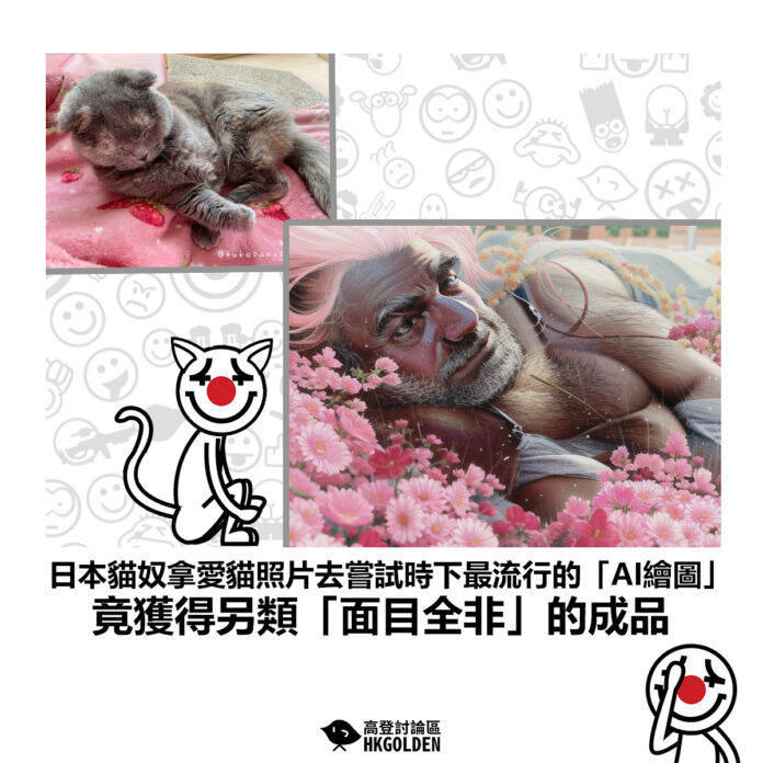 gsgsgsd