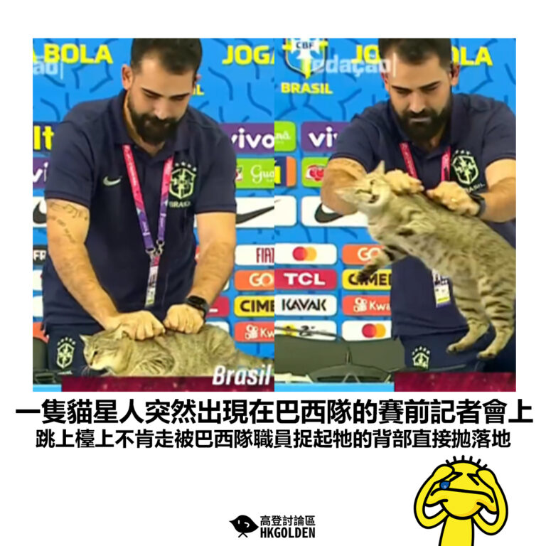 【一隻貓星人突然出現在巴西隊的賽前記者會上 跳上檯上不肯走被巴西隊職員捉起牠的背部直接拋落地】