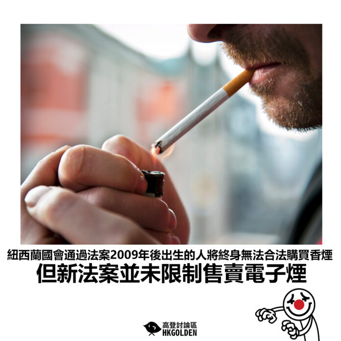 sfgsdfsafsa