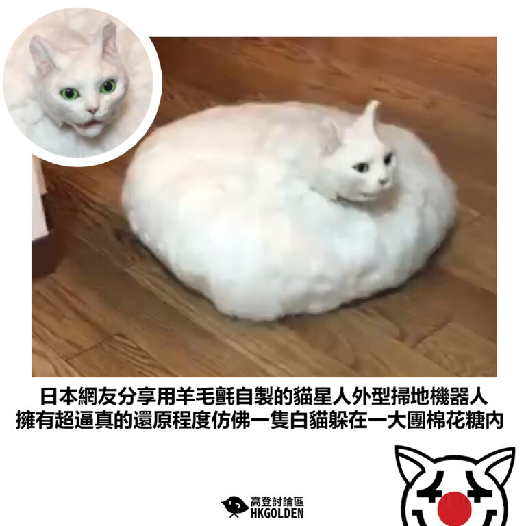 【日本網友分享用羊毛氈自製的貓星人外型掃地機器人 擁有超逼真的還原程度仿佛一隻白貓躲在一大團棉花糖內】