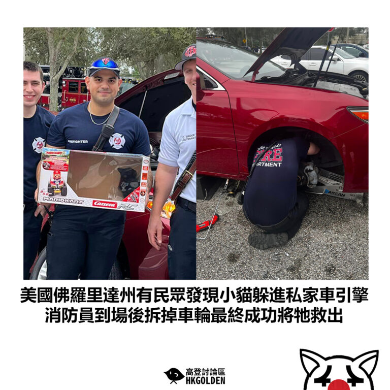 【美國佛羅里達州有民眾發現小貓躲進私家車引擎 消防員到場後拆掉車輪最終成功將牠救出】
