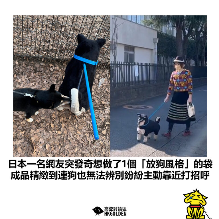 【日本一名網友突發奇想做了1個「放狗風格」的袋 成品精緻到連狗也無法辨別紛紛主動靠近打招呼】