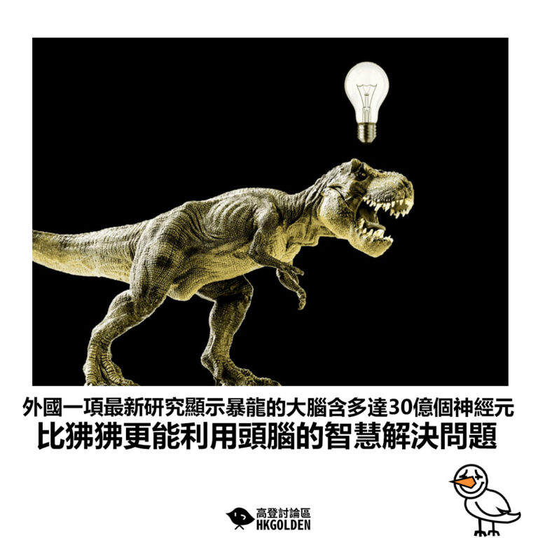 【外國一項最新研究顯示暴龍的大腦含多達30億個神經元 比狒狒更能利用頭腦的智慧解決問題】