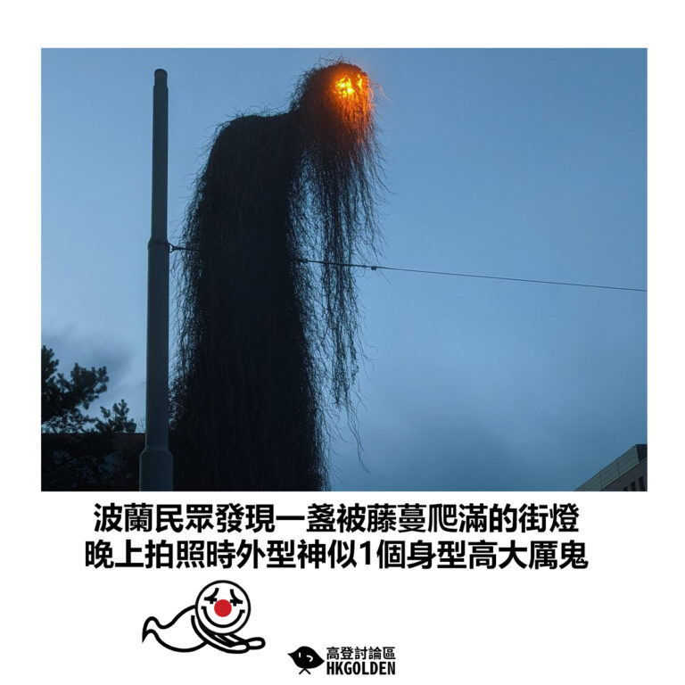【波蘭民眾發現一盞被藤蔓爬滿的街燈 晚上拍照時外型神似1個身型高大厲鬼】