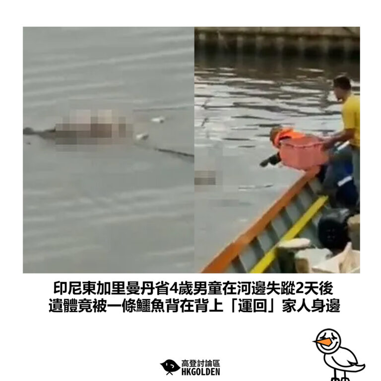 【印尼東加里曼丹省4歲男童在河邊失蹤2天後 遺體竟被一條鱷魚背在背上「運回」家人身邊】