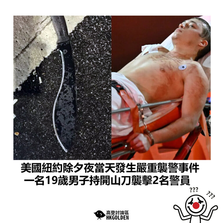 【美國紐約除夕夜當天發生嚴重襲警事件 一名19歲男子持開山刀襲擊2名警員】