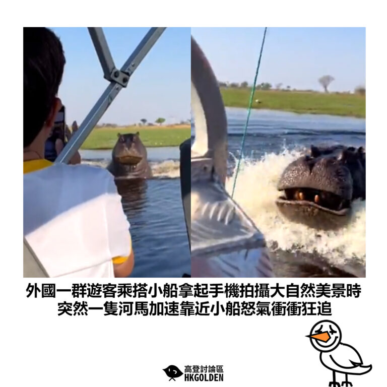 【外國一群遊客乘搭小船拿起手機拍攝大自然美景時 突然一隻河馬加速靠近小船怒氣衝衝狂追】