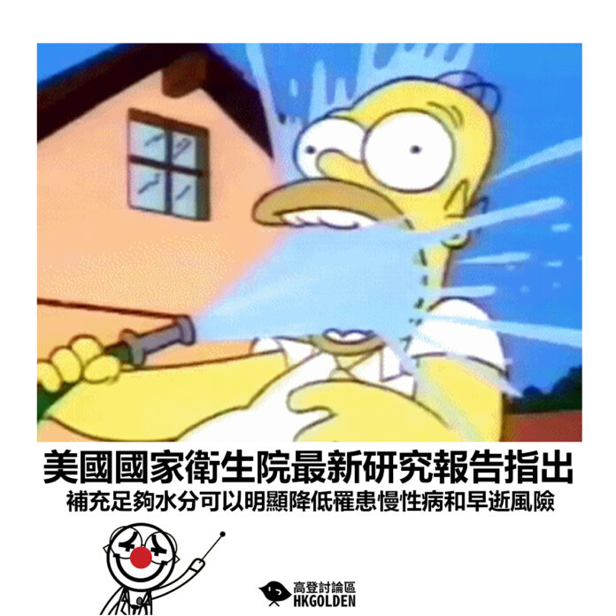 ghbdhgsdgds