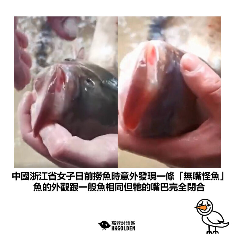 【中國浙江省女子日前撈魚時意外發現一條「無嘴怪魚」魚的外觀跟一般魚相同但牠的嘴巴完全閉合】