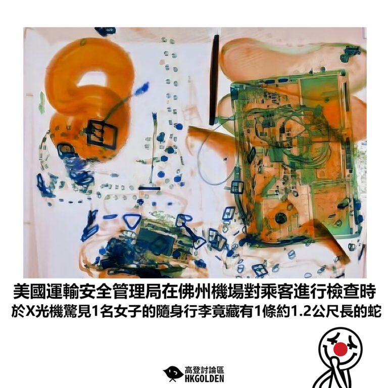 【美國運輸安全管理局在佛州機場對乘客進行檢查時 於X光機驚見1名女子的隨身行李竟藏有1條約1.2公尺長的蛇】