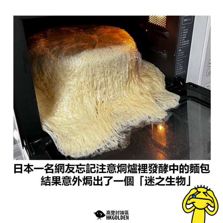 【日本一名網友忘記注意焗爐裡發酵中的麵包 結果意外焗出了一個「迷之生物」】