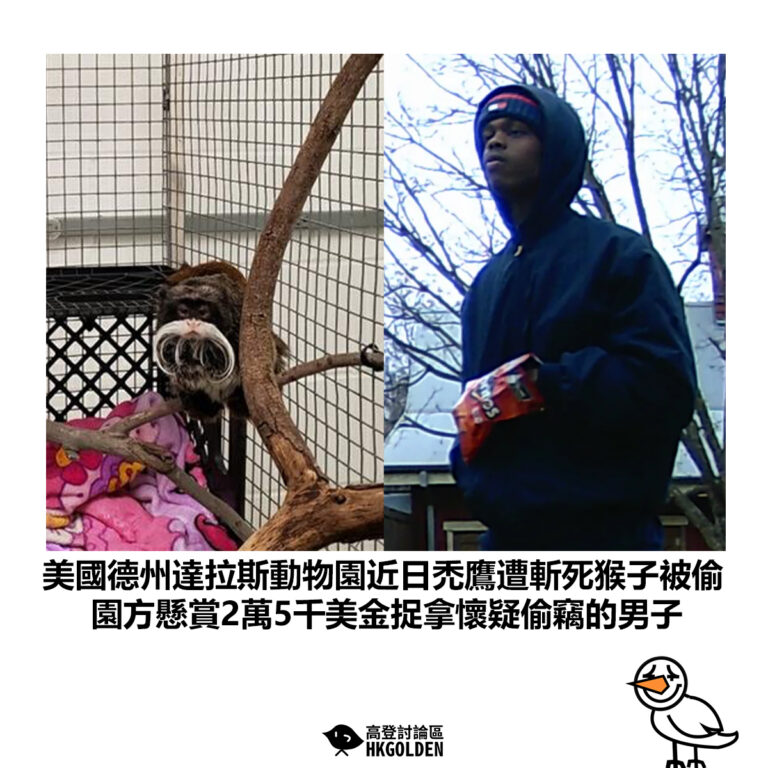 【美國德州達拉斯動物園近日禿鷹遭斬死猴子被偷 園方懸賞2萬5千美金捉拿懷疑偷竊的男子】