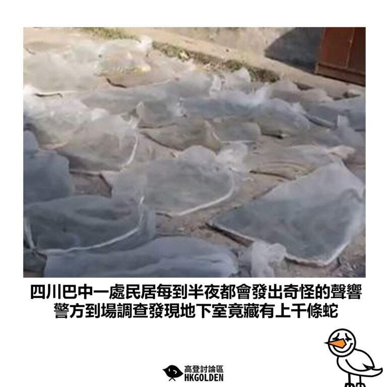 【四川巴中一處民居每到半夜都會發出奇怪的聲響 警方到場調查發現地下室竟藏有上千條蛇】