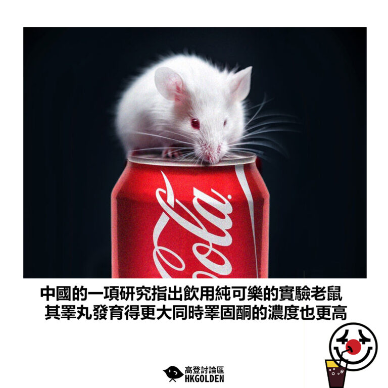 【中國的一項研究指出飲用純可樂的實驗老鼠 其睪丸發育得更大同時睪固酮的濃度也更高】