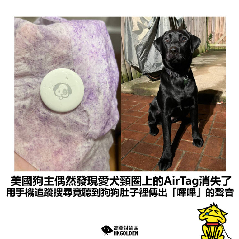 【美國狗主偶然發現愛犬頸圈上的AirTag消失了 用手機追蹤搜尋竟聽到狗狗肚子裡傳出「嗶嗶」的聲音】