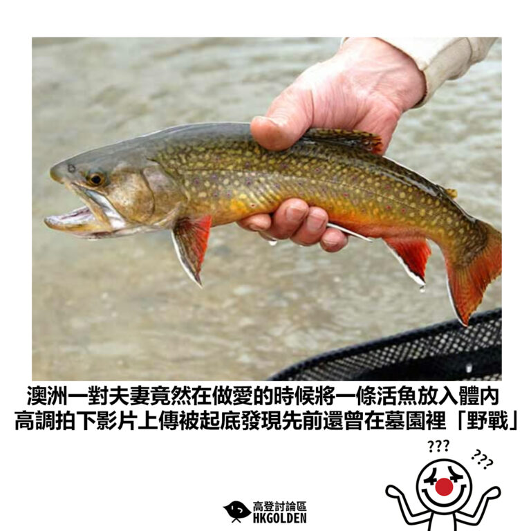 【澳洲一對夫妻竟然在做愛的時候將一條活魚放入體內 高調拍下影片上傳被起底發現先前還曾在墓園裡「野戰」】
