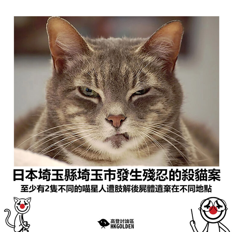 【日本埼玉縣埼玉市發生殘忍的殺貓案 至少有2隻不同的喵星人遭肢解後屍體遺棄在不同地點】