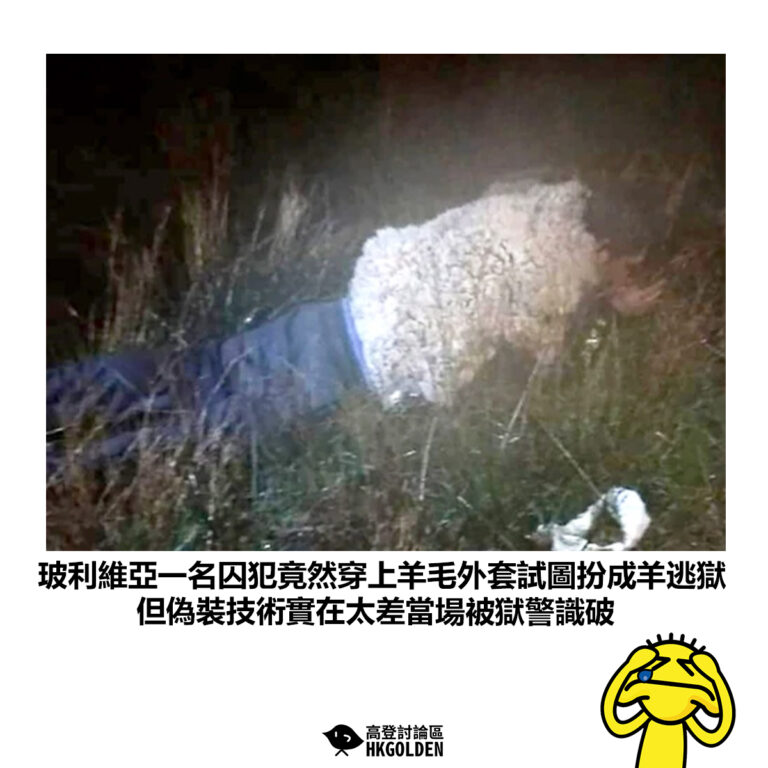 【玻利維亞一名囚犯竟然穿上羊毛外套試圖扮成羊逃獄 但偽裝技術實在太差當場被獄警識破】