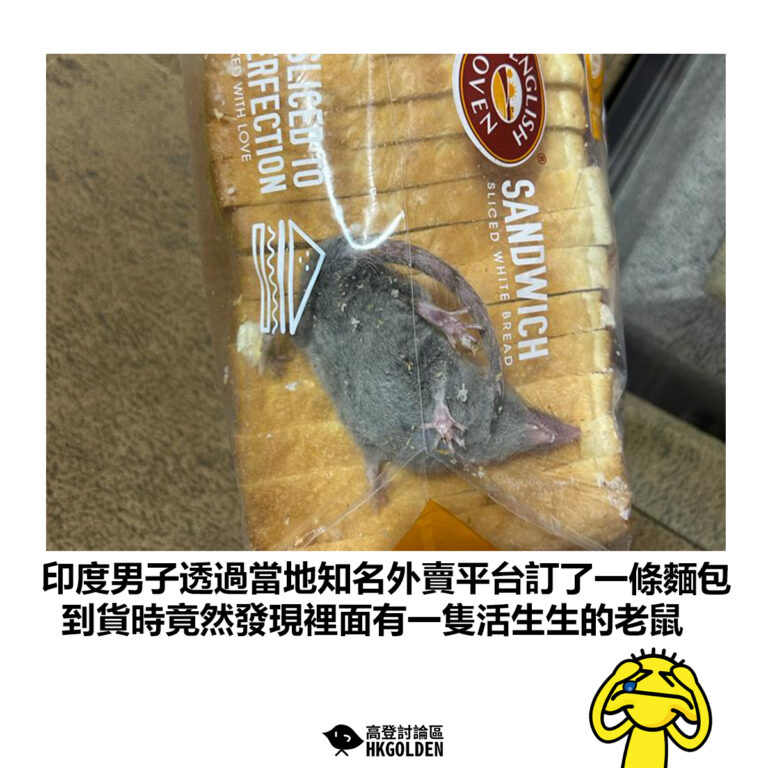 【印度男子透過當地知名外賣平台訂了一條麵包 到貨時竟然發現裡面有一隻活生生的老鼠】