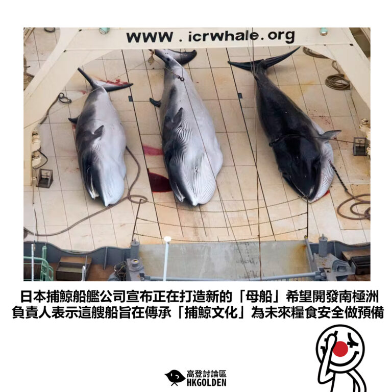 【日本捕鯨船艦公司宣布正在打造新的「母船」希望開發南極洲 負責人表示這艘船旨在傳承「捕鯨文化」為未來糧食安全做預備】