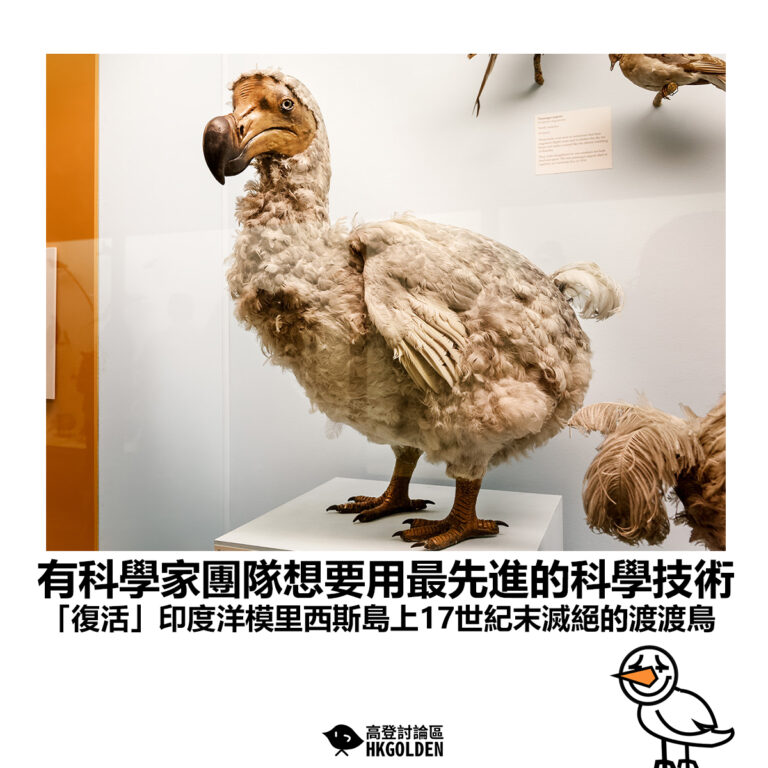 【有科學家團隊想要用最先進的科學技術「復活」印度洋模里西斯島上17世紀末滅絕的渡渡鳥】