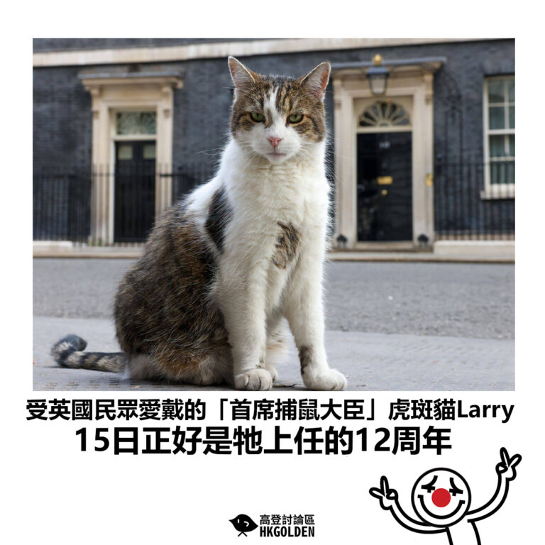 【受英國民眾愛戴的「首席捕鼠大臣」虎斑貓Larry 15日正好是牠上任的12周年】