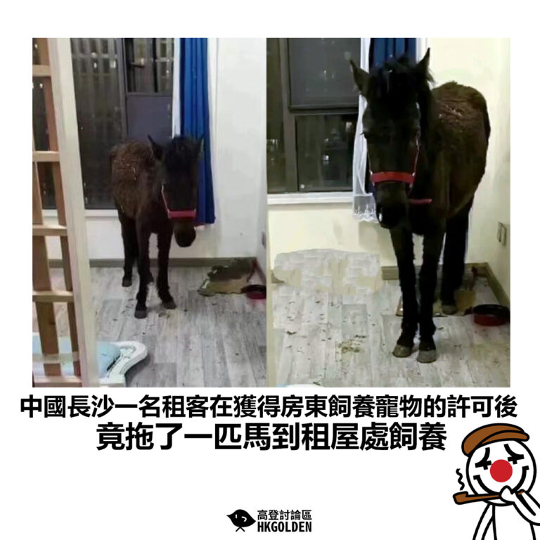 【中國長沙一名租客在獲得房東飼養寵物的許可後 竟拖了一匹馬到租屋處飼養】
