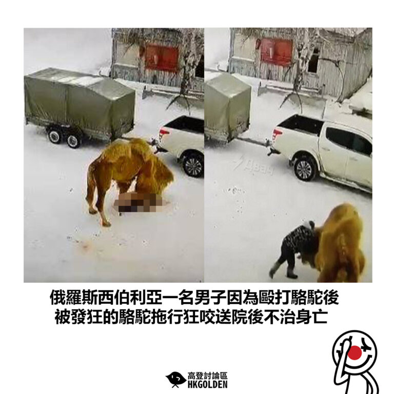 【俄羅斯西伯利亞一名男子因為毆打駱駝後 被發狂的駱駝拖行狂咬送院後不治身亡】